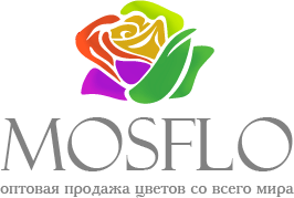Логотип MOSFLO